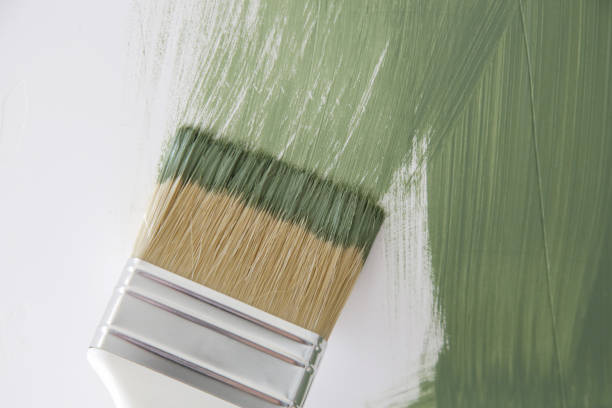 Crossville, TN Mold Removal Company