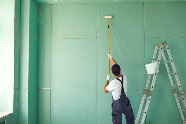 Best Basement Mold Removal  in Crossville, TN