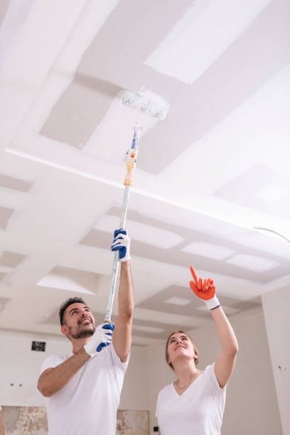 Best Residential Mold Inspection & Testing  in Crossville, TN