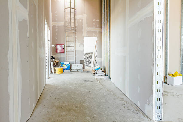 Best Biohazard Mold Removal  in Crossville, TN